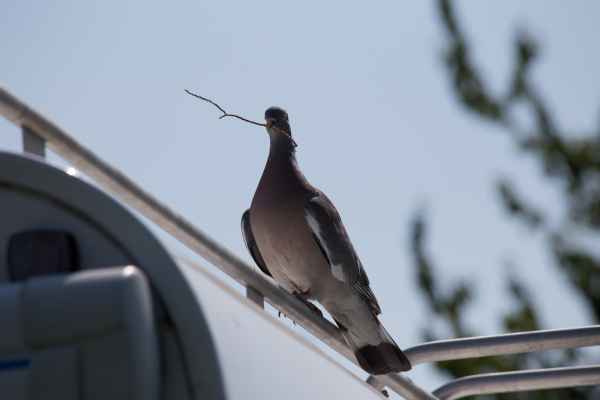 2013 07 09 france2013 220 jpg
