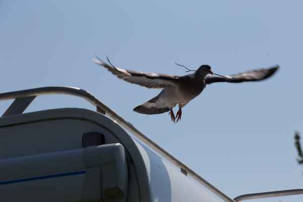 2013 07 09 france2013 222 jpg