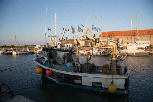 2014 07 15 ars en re boats france2014 motorhome 091 jpg