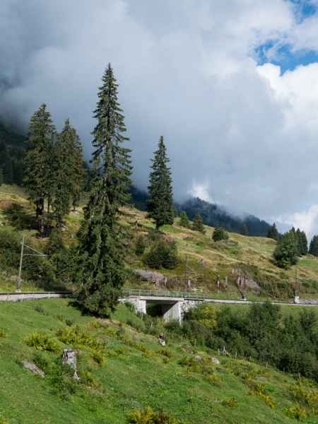 2015 09 04 europe 2015 grutschalp lauterbrnnen 126 jpg