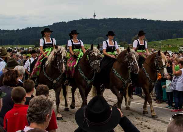 2015 09 13 burggen europe 2015 horses 199 jpg