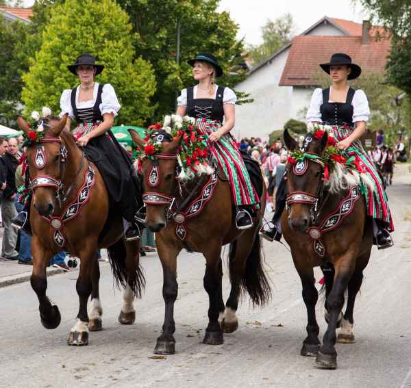 2015 09 13 burggen europe 2015 horses 203 jpg