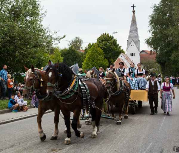 2015 09 13 burggen europe 2015 horses 204 jpg
