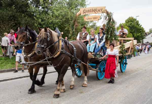 2015 09 13 burggen europe 2015 horses 210 jpg