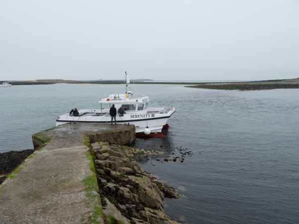 2016 06 11 boats bps farneislands 032 jpg