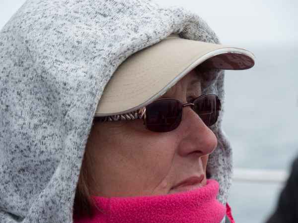 2016 06 11 bps denise sykes farneislands 028 jpg