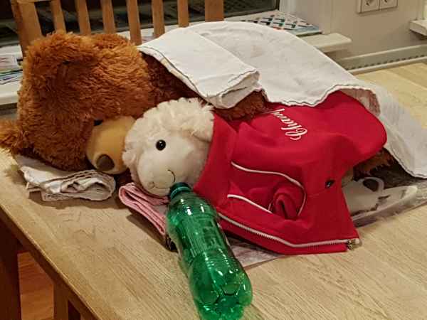 2016 10 18 alftanes estersheep iceland 2016 036 jpg