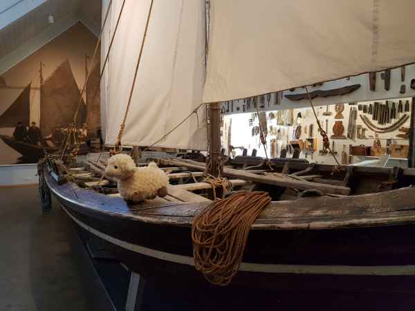 2016 10 18 estersheep iceland 2016 056 jpg