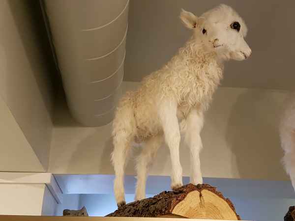 2016 10 18 iceland 2016 060 jpg