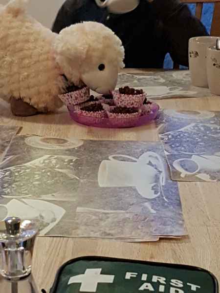 2016 10 25 estersheep iceland 2016 139 jpg