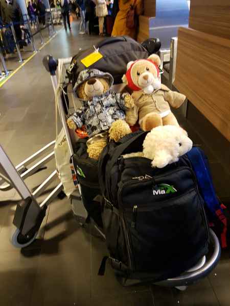 2016 10 27 estersheep iceland 2016 keflavic 142 jpg