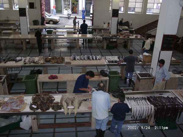 2002 09 24 funchal madeira 2002 025 jpg