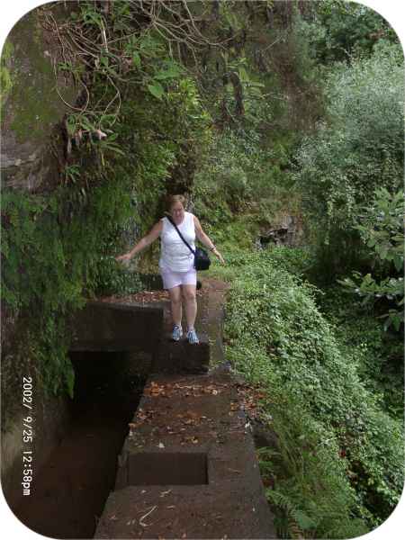 2002 09 25 denise sykes madeira 2002 us walking 034 jpg