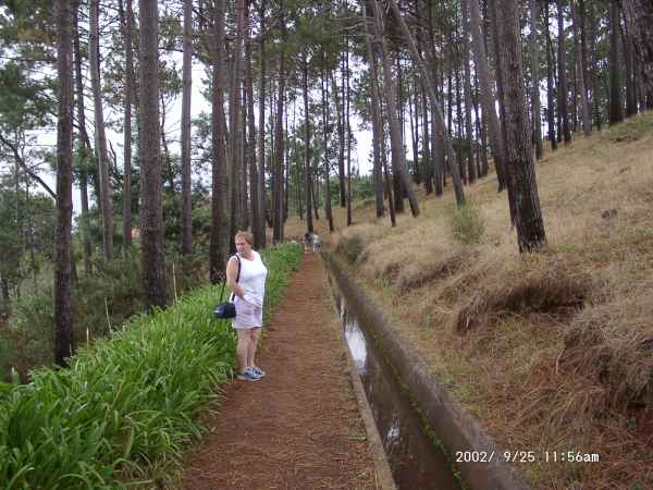 2002 09 25 denise sykes madeira 2002 walking 031 jpg