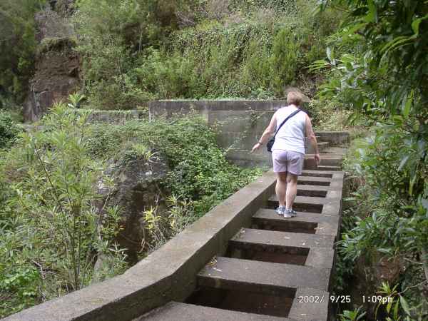 2002 09 25 denise sykes madeira 2002 walking 035 jpg