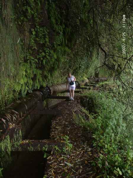 2002 09 25 denise sykes madeira 2002 walking 038 jpg