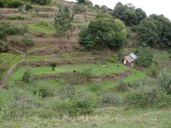 2002 09 25 madeira 2002 walking 043 jpg