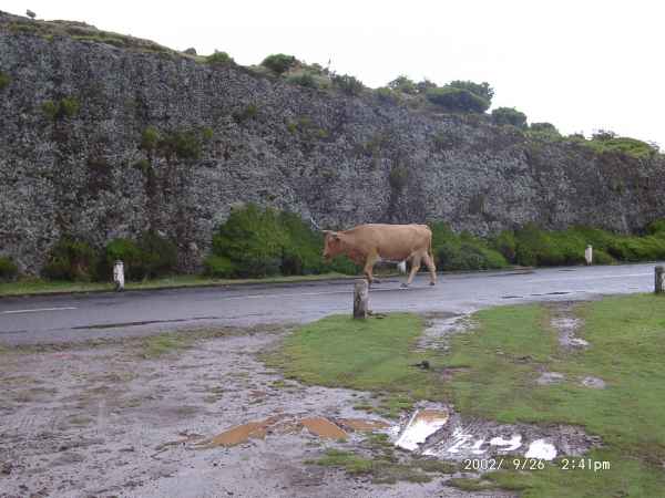 2002 09 26 madeira 2002 058 jpg