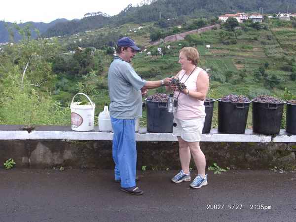 2002 09 27 denise sykes madeira 2002 084 jpg