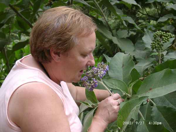 2002 09 27 denise sykes madeira 2002 walking 094 jpg