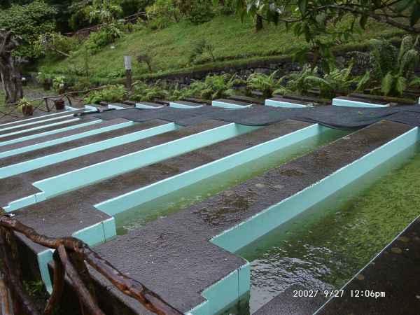 2002 09 27 madeira 2002 walking 072 jpg