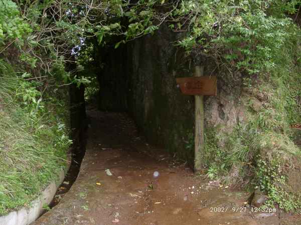 2002 09 27 madeira 2002 walking 077 jpg