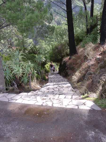 2002 09 28 madeira 2002 109 jpg