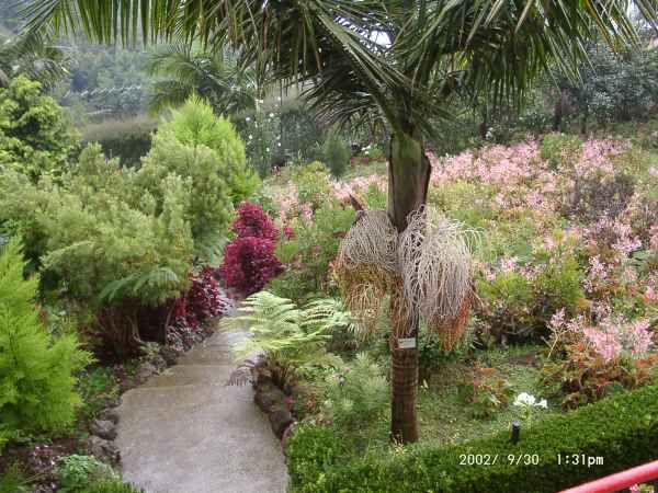 2002 09 30 funchal madeira 2002 140 jpg