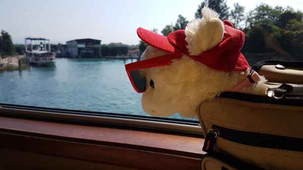 2017 07 06 estersheep europe 2017 alpine garda motorhome post ccc tour 037 jpg