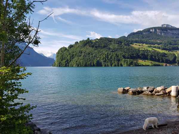 2017 07 11 brunnen europe 2017 alpine motorhome post ccc tour 087 jpg