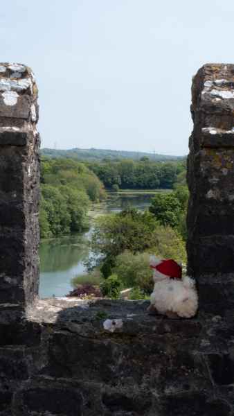 2018 05 22 castles estersheep ireland 2018 pembroke precccireland 021 jpg