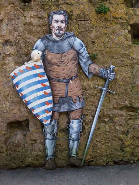 2018 05 22 estersheep ireland 2018 pembroke precccireland 037 jpg