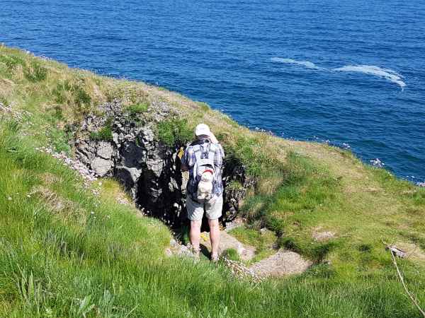2018 05 23 estersheep freshwater east ireland 2018 peter sykes precccireland 082 jpg