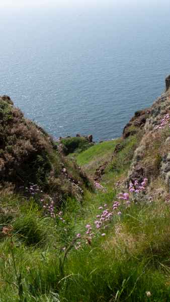 2018 05 23 freshwater east ireland 2018 precccireland walking 057 jpg