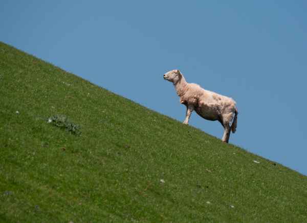 2018 05 23 freshwater east ireland 2018 precccireland walking 061 jpg