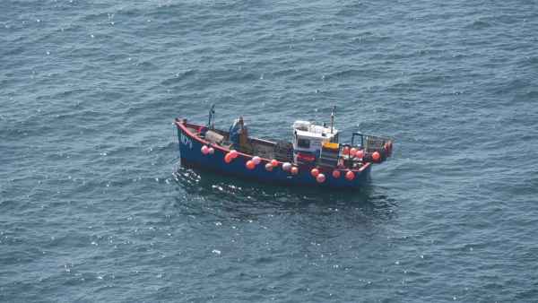 2018 05 23 freshwater east ireland 2018 precccireland walking 065 jpg