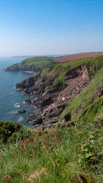 2018 05 23 freshwater east ireland 2018 precccireland walking 067 jpg