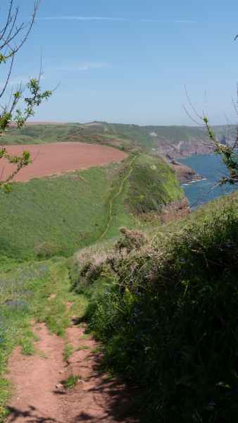 2018 05 23 freshwater east ireland 2018 precccireland walking 071 jpg