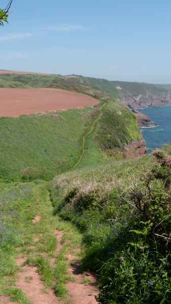 2018 05 23 freshwater east ireland 2018 precccireland walking 072 jpg