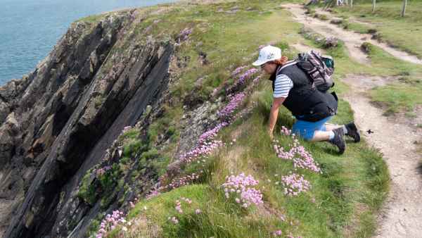 2018 05 26 denise sykes ireland 2018 precccireland st davids walking 058 jpg