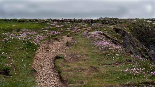 2018 05 26 denise sykes ireland 2018 precccireland st davids walking 062 jpg