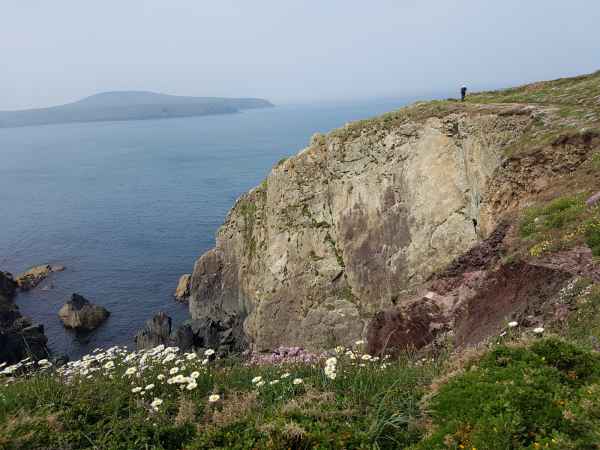 2018 05 26 ireland 2018 precccireland st davids 061 jpg