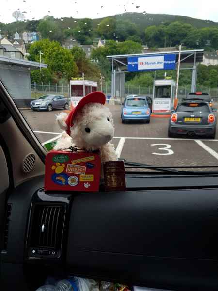 2018 05 27 estersheep ferrycrossings fishguard ireland 2018 precccireland 072 jpg