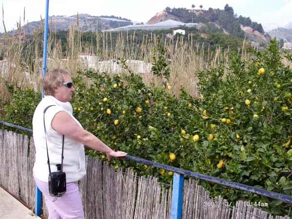 2003 03 06 benidorm benidorm 2003 denise sykes hotel gan bali 025 jpg