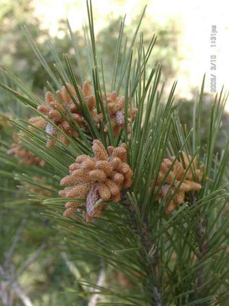 2003 03 10 benidorm benidorm 2003 hotel gan bali 078 jpg