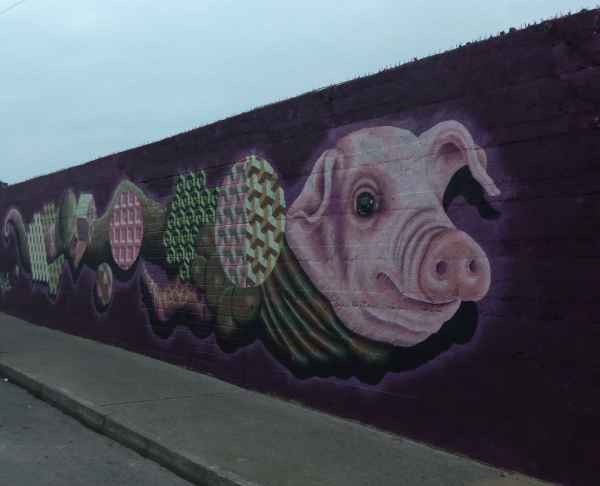 2018 05 27 ireland 2018 precccireland waterford 035 jpg