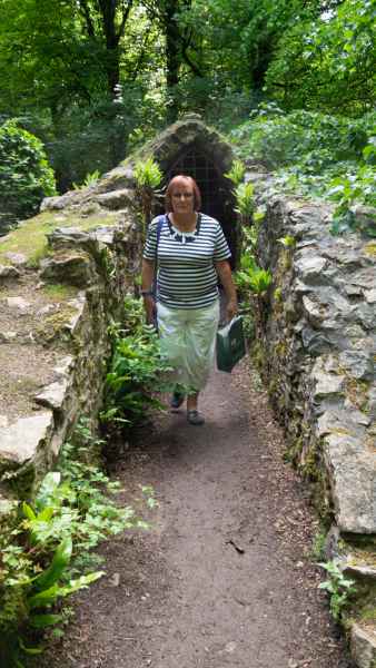 2018 05 31 blarney castles denise sykes ireland 2018 irelandccctour 063 jpg