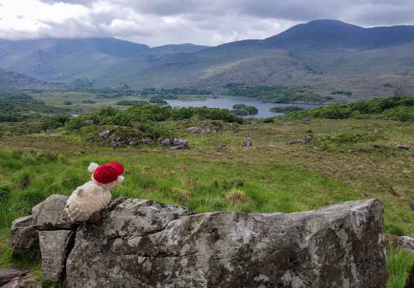 2018 06 01 estersheep ireland 2018 irelandccctour ladysview ring of kerry 098 jpg