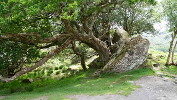2018 06 01 ireland 2018 irelandccctour ladysview ring of kerry 110 jpg