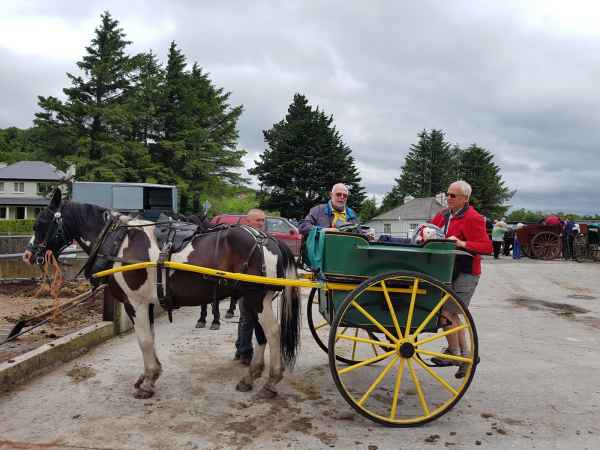 2018 06 02 denise sykes estersheep gap of dunloe ireland 2018 irelandccctour peter sykes 112 jpg